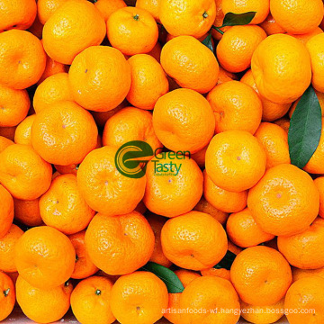 Fresh First Quality Navel Orange